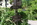 Der Garten